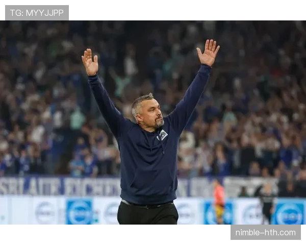 赖斯是否依赖体系?战术角色与独立性分析 赖斯是否依赖体系?战术角色与独立性分析