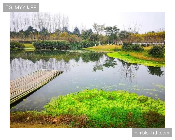 乌加特:从乌拉圭费尼克斯到欧洲的起点之路解析 乌加特:从乌拉圭费尼克斯到欧洲的起点之路解析